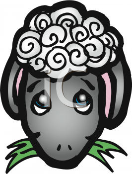 Sheep Clipart